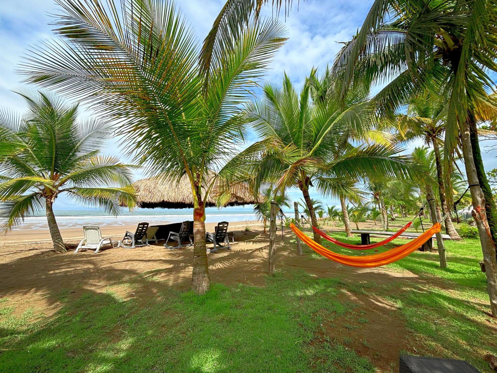 Royal Palm Retreat Apartment Cabrera Exterior foto